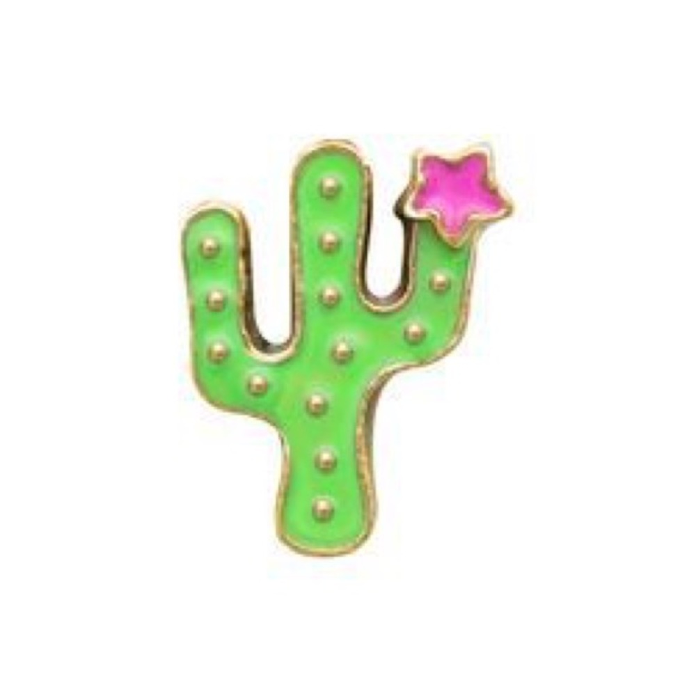 Origami Owl Cactus Charm